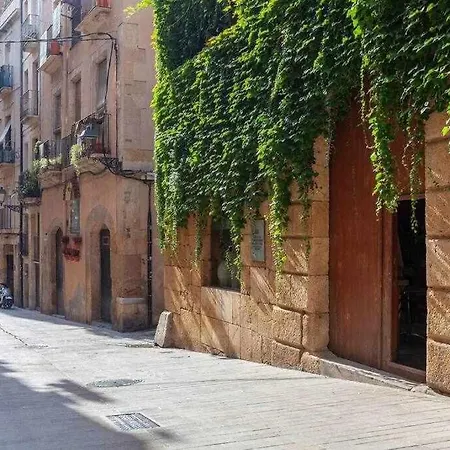 Апартаменты De La Susanna Old Town Mezzanine